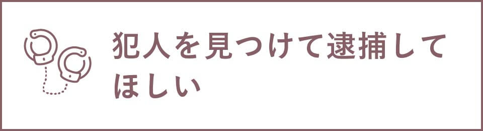 犯人を見つけて逮捕してほしい